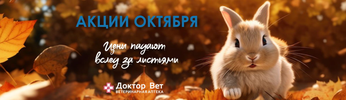 Скидки октября для любимых покупателей!