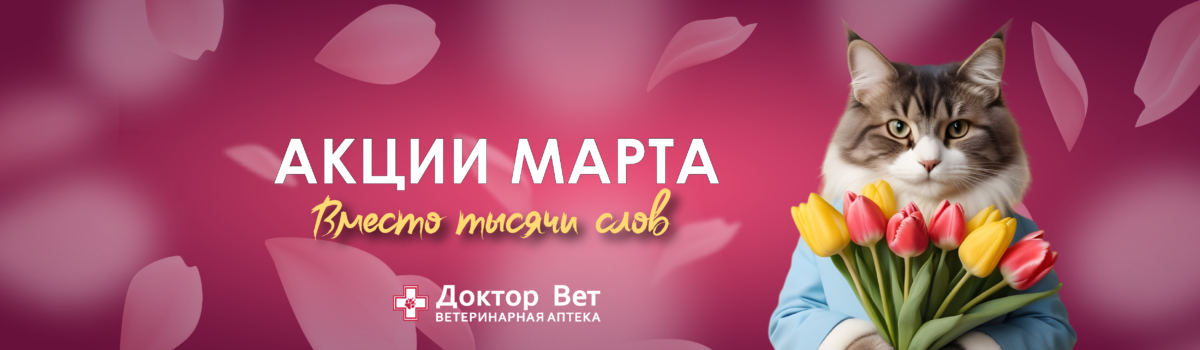 WOW! Как выгодно с «Доктор Вет»!