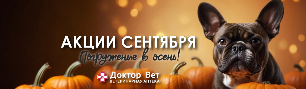 Время заботы о питомцах с «Доктор Вет»!