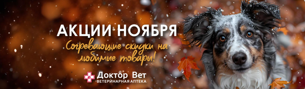 Согревающие скидки в «Доктор Вет»!