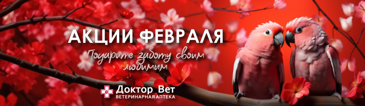 Подарите заботу своим любимым с «Доктор Вет»!