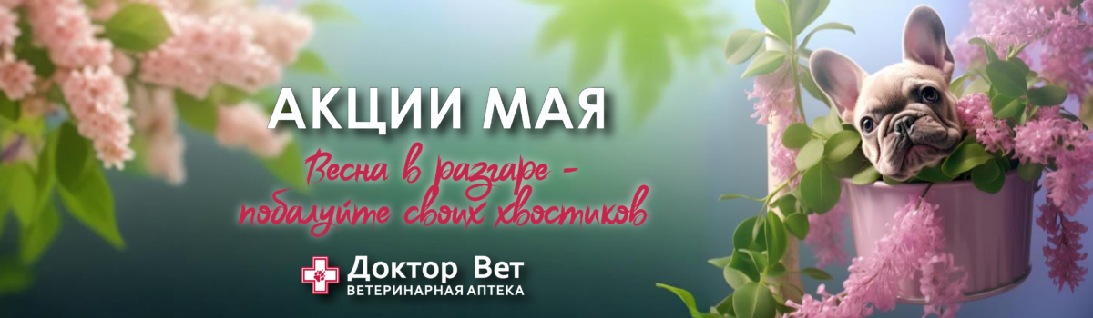 Весна в разгаре в «Доктор Вет»!